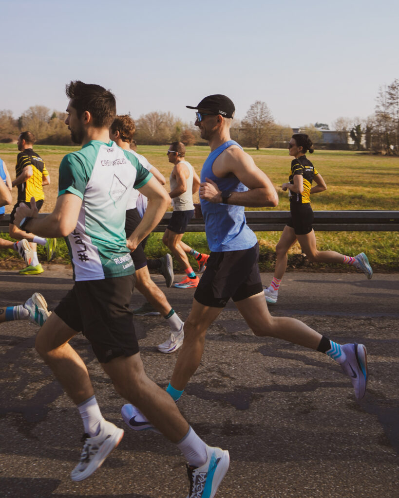 Bienwald Marathon 2026 Laufstrecke