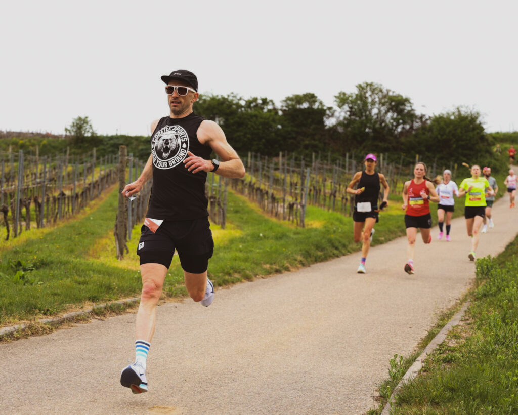 Deutsche Weinstrasse 2026 Bergab